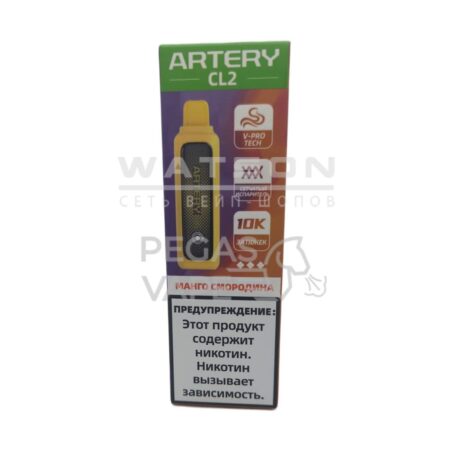 Электронная сигарета Artery CL2 10000 (FLAVOR+ICE edtion) (Манго черная смородина)