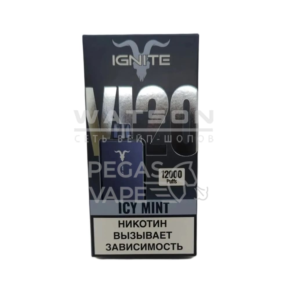 Электронная сигарета IGNITE V120 Black (Ледяная мята) Электронная сигарета IGNITE V120 Black (Ледяная мята)